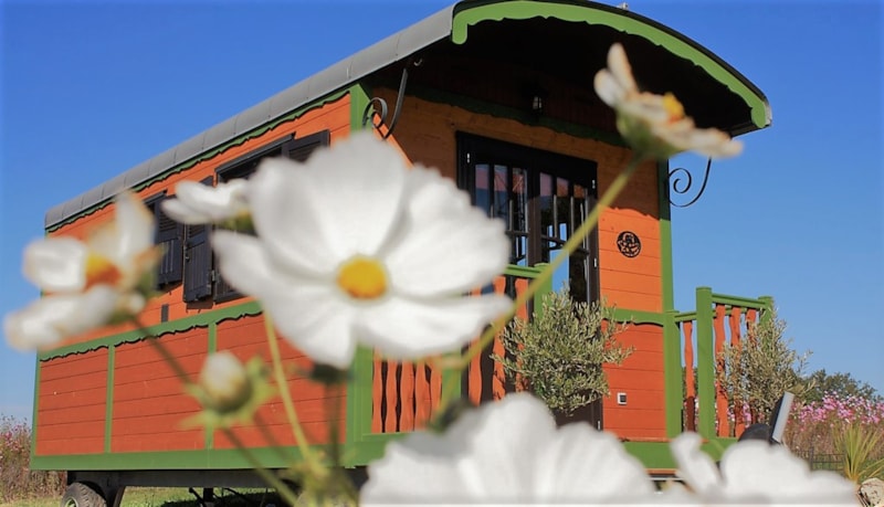 NUIT en Roulotte. Formule B&B,petits déjeuners inclus.