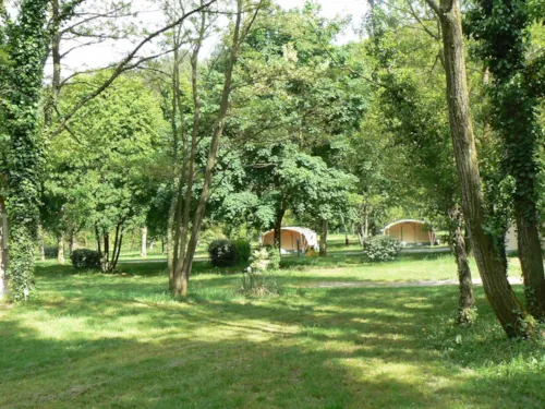 Emplacement - Emplacement Classique 100M² (2 Personnes, 1 Tente, Caravane Ou Camping-Car / 1 Voiture) +Electricité 10A - image n°2 - Camping Coeur d'Ardèche
