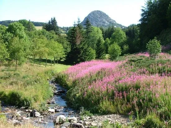 Camping Coeur d'Ardèche