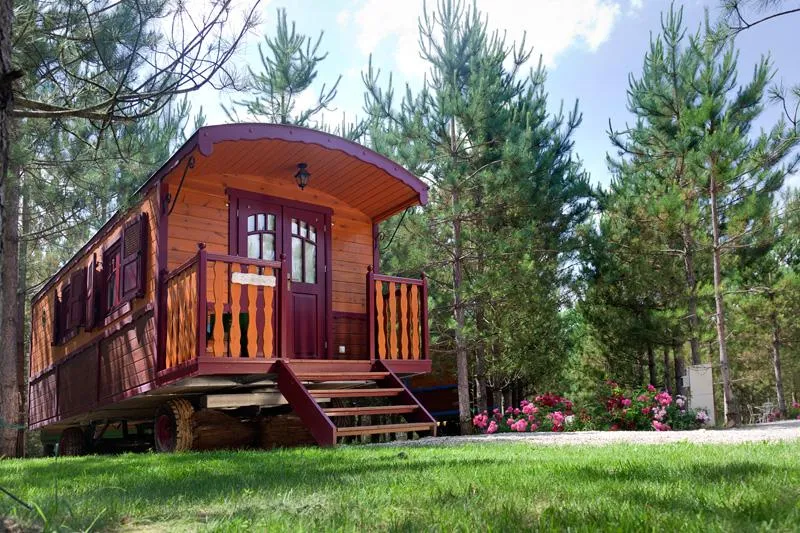 Les Roulottes De Défiplanet’ À Dienné