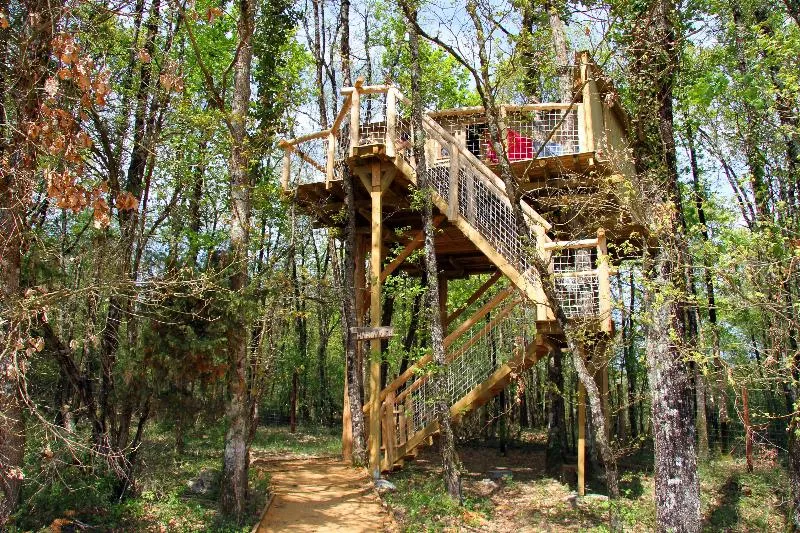 Maison Dans Les Branches