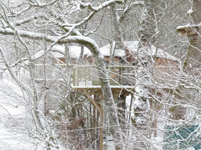 Cabane Dans Les Arbres (Avec Toilettes Sèches, Sans Douche)
