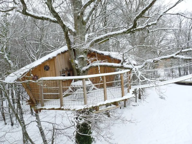 Cabane Dans Les Arbres (Avec Toilettes Sèches, Sans Douche)