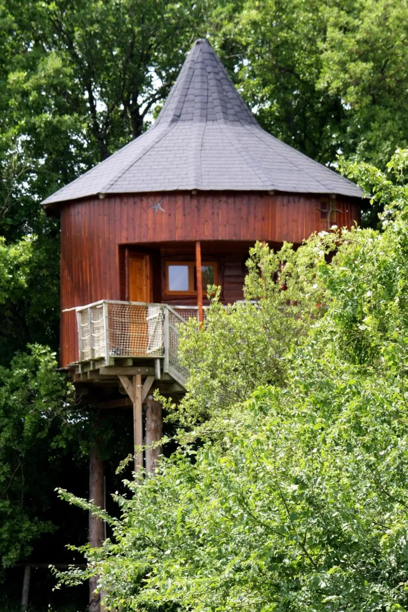 Maison Dans Les Branches