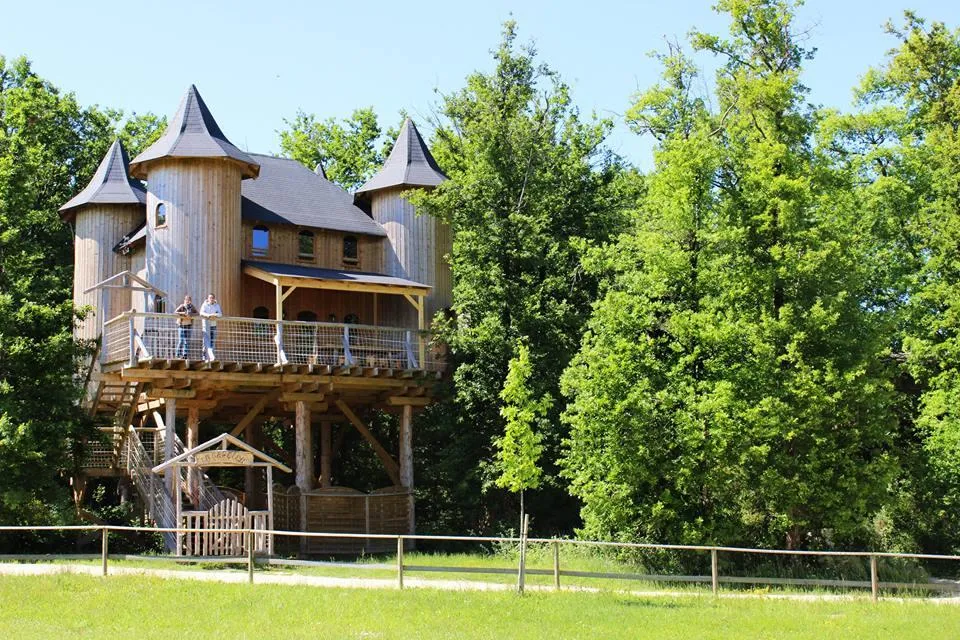 Location - Château Dans Les Branches - DéfiPlanet' à Dienné