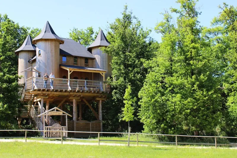 Château Dans Les Branches