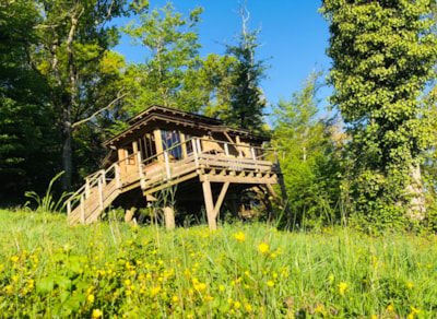 Cabin + Spa
