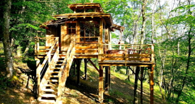 Cabin + Spa