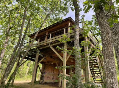 Tree house.