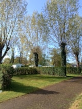 Foto #4 van Camping du Pont Vert