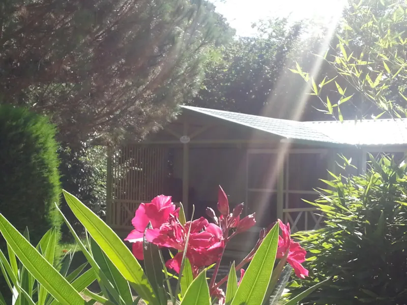 Chalet Gitotel 1 Chambre