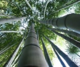 Foto #62 van Camping Les Sources