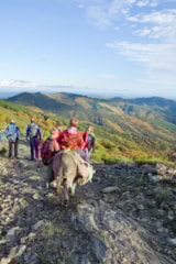 Foto #50 van Camping Les Sources