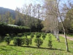 Forfait Emplacement Avec Électricité (6A): 2 Personnes + 1 Tente / Caravane + Véhicule: 1 Voiture / Camping Car / 2 Motos Forfait Emplacement Avec Électricité (6A): 2 Personnes + 1 Tente / Caravane + Véhicule: 1 Voiture / Camping Car / 2 Motos