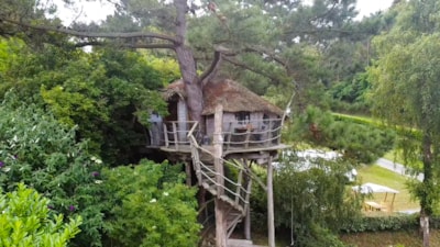 Tree house, breakfast and bed linen included — 1