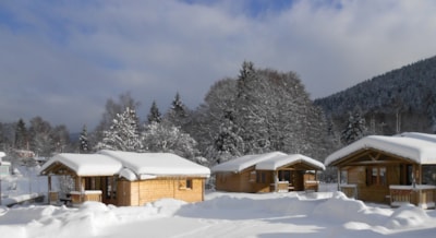 6.CHALET BOIS MONTAGNE 35M² with terrace * — 2