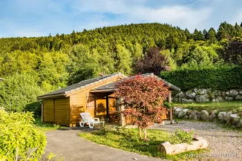 Mietunterkunft - 8.Chalet Bois Montagne 35M² Mit Behindertengerechtem Zugang Und Terrasse * - DOMAINE DU HAUT DES BLUCHES