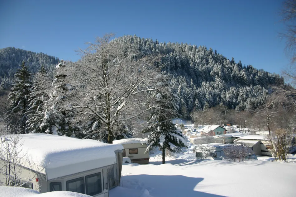 DOMAINE DU HAUT DES BLUCHES