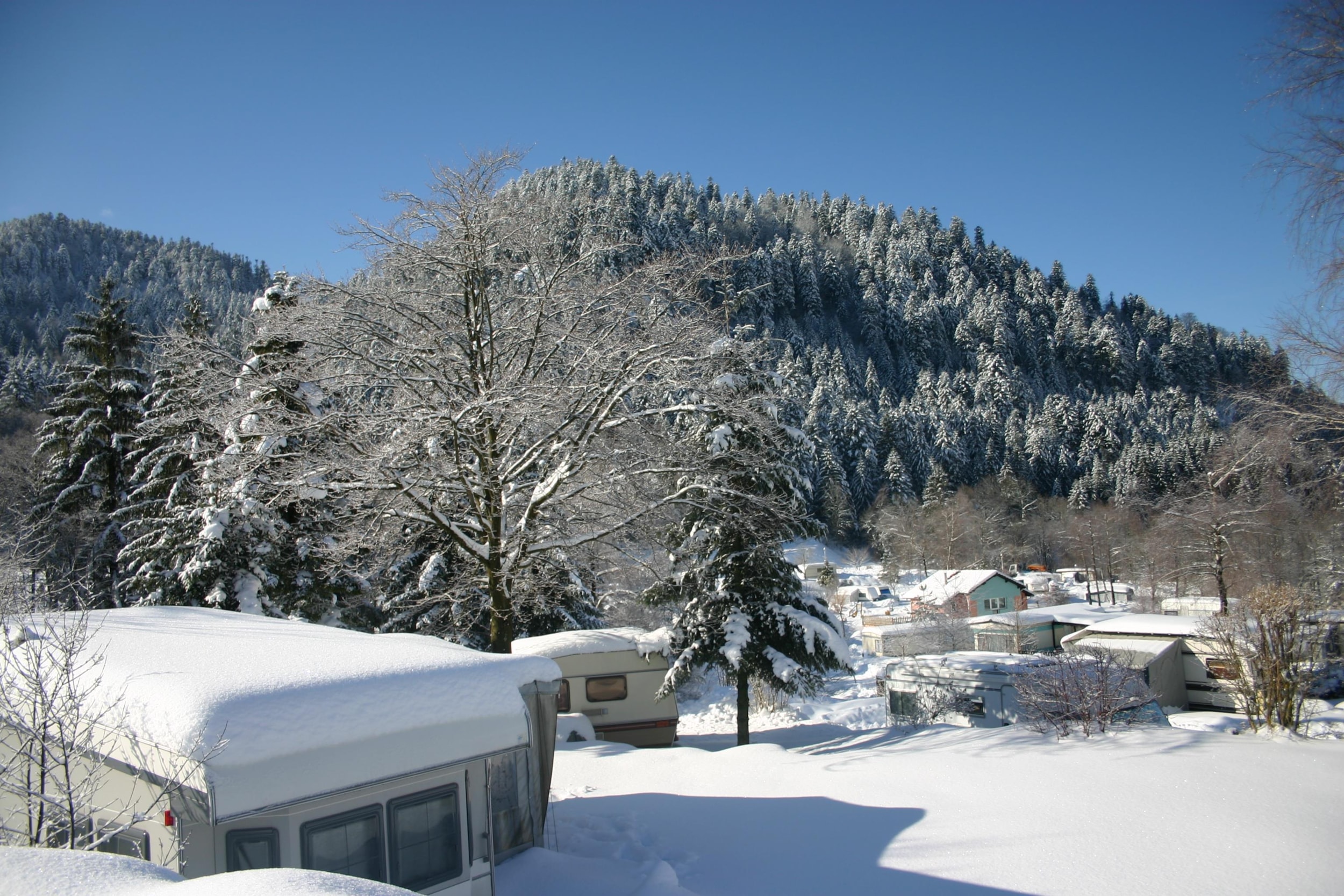 DOMAINE DU HAUT DES BLUCHES — Foto 6