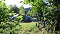 Établissement Camping Domaine du Haut des Bluches - La Bresse