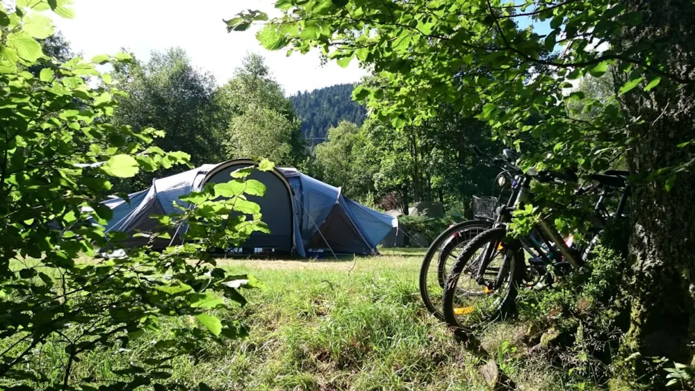 Standplaats voor tent, caravan of camper / incl.2 personen