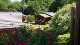 Location - 6.Chalet Bois Montagne 35M² Avec Terrasse Couverte * - DOMAINE DU HAUT DES BLUCHES
