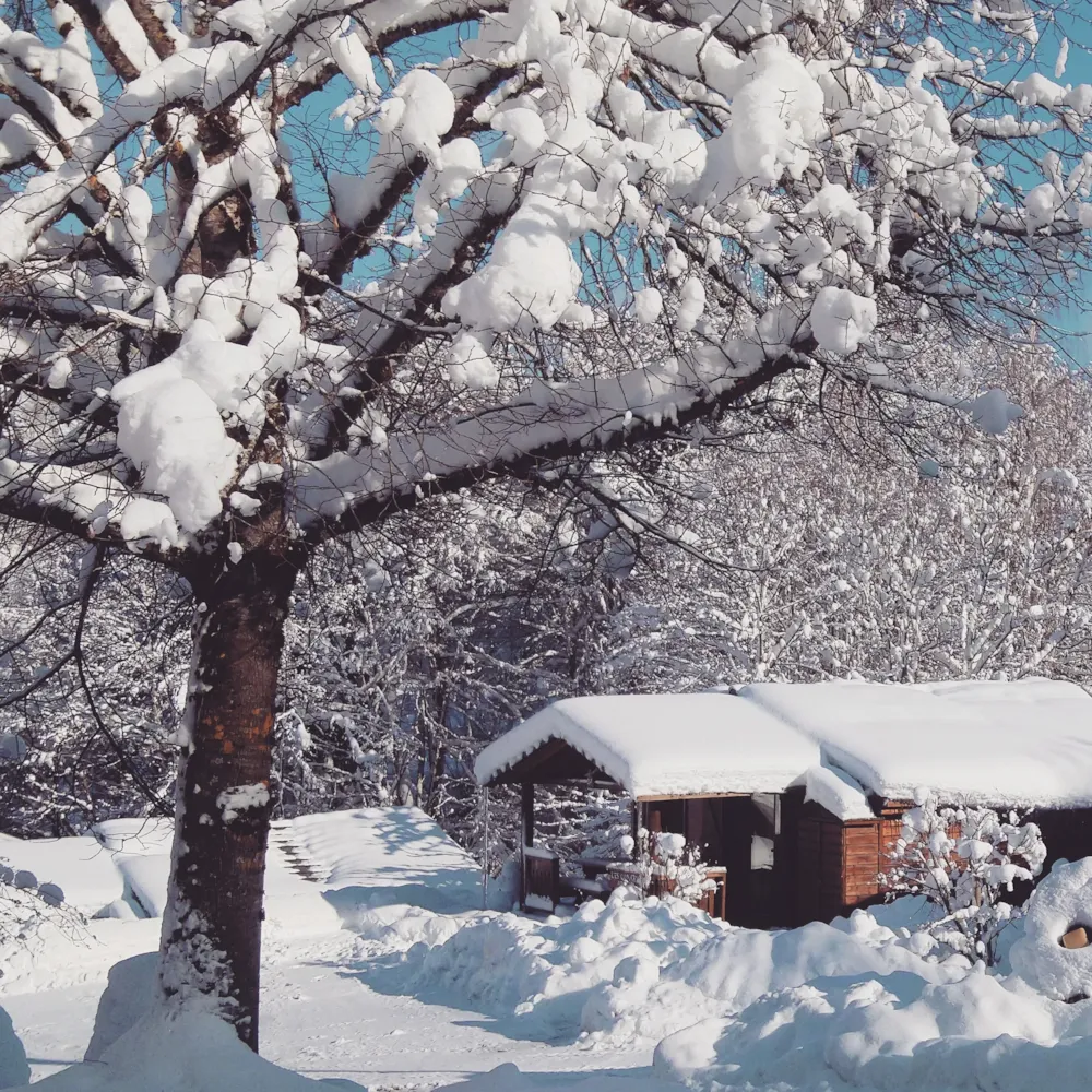 Location - 7.Chalet Bois Montagne Adapte Pour Personne A Mobilite Reduite 35M² Avec Terrasse - DOMAINE DU HAUT DES BLUCHES