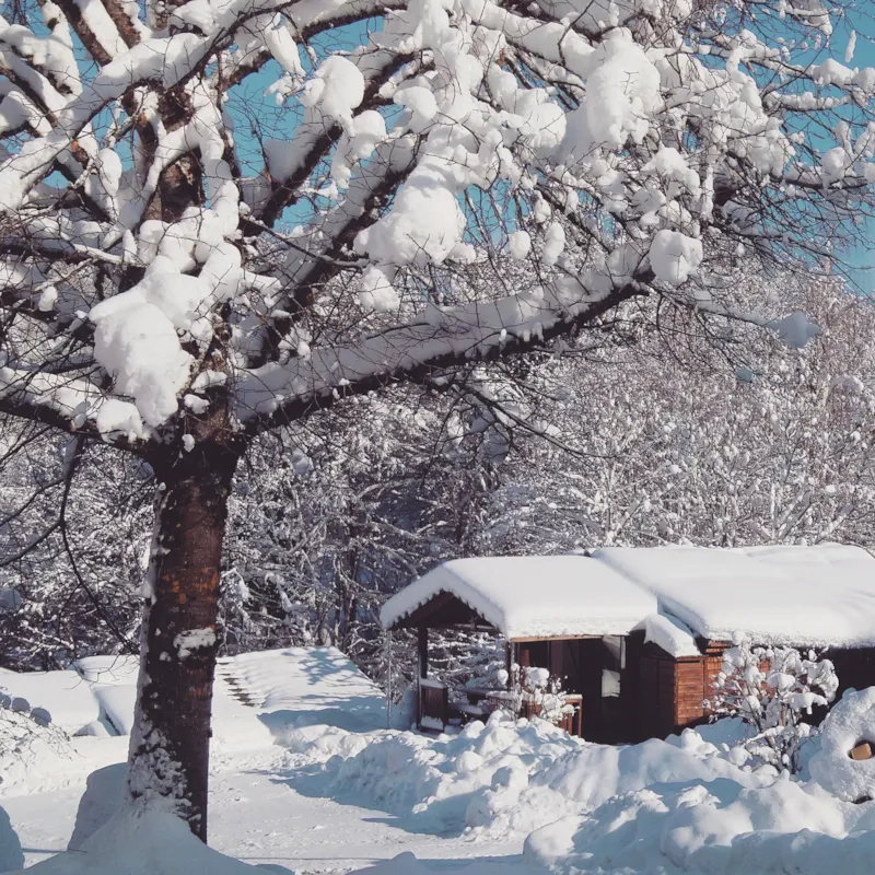 7.Chalet Bois Montagne Adapte Pour Personne A Mobilite Reduite 35M² Avec Terrasse