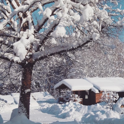 7.CHALET BOIS MONTAGNE 35m² with disabled access and terrace * — 2