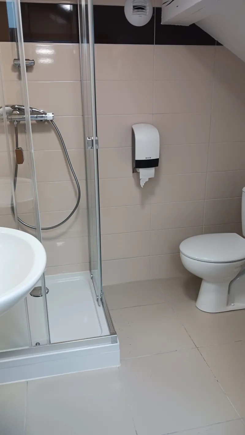 25/ Petite Chambre Mansardee Single- A Double