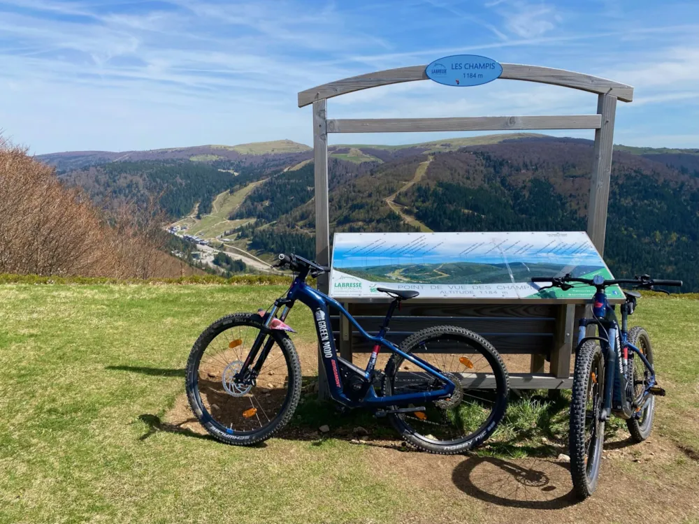 DOMAINE DU HAUT DES BLUCHES