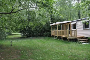 Location - Mobil-Home Le Platane (3 Chambres) Bord Riviere - Grande Terrasse - Tv - Camping Brantôme Peyrelevade