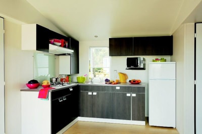 Mobil home  Le Platane (3 bedrooms) - Riverside - Large terrace - TV