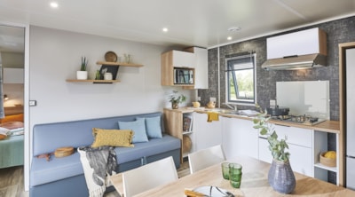 Mobil-home Olivier Premium 32m² (2bed-4pers) + 2SDB+ semi-covered terrace 15m² + LV + CLIM (Dim)