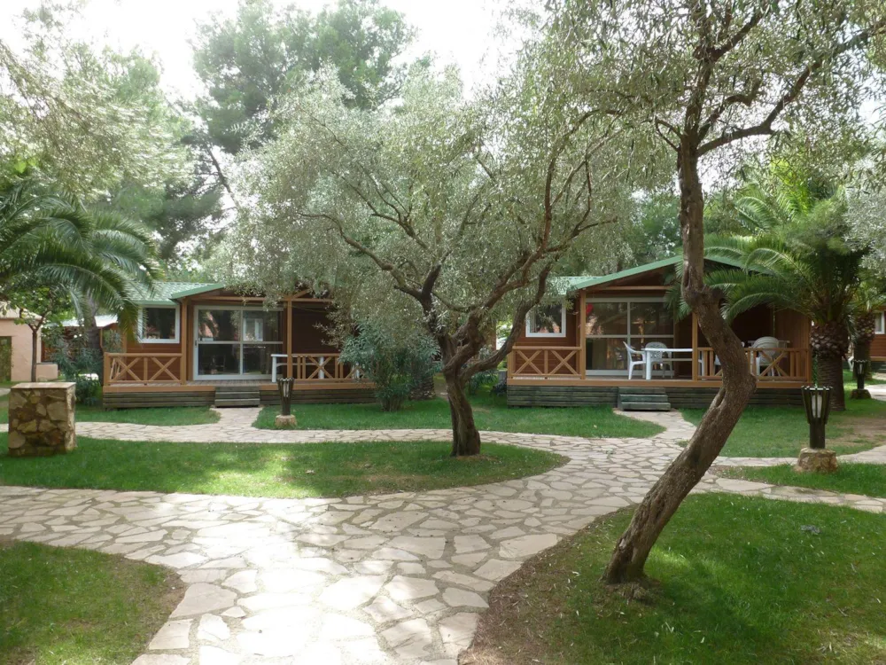 Huuraccommodatie(s) - Chalet Eden 35M² - 3 Kamers - Camping Ctoutvert TEST - Ne pas réserver