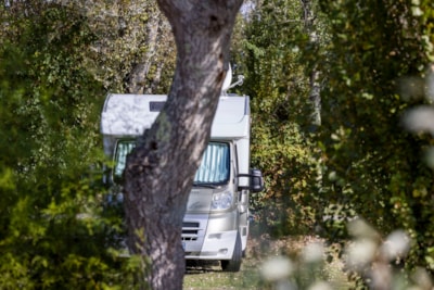 Pitch car tent/caravan — 1