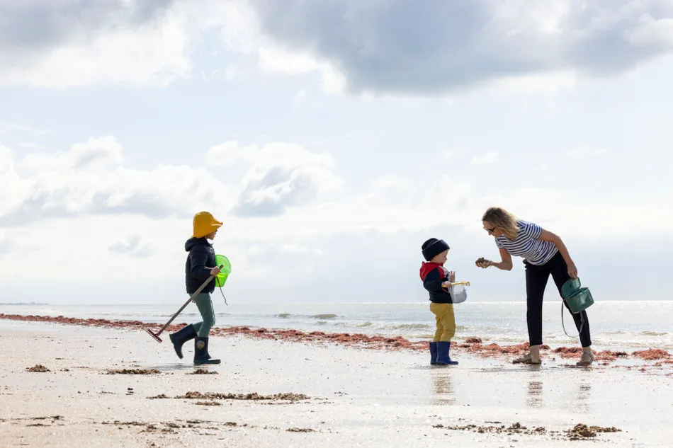 Flower Camping La Davière Plage