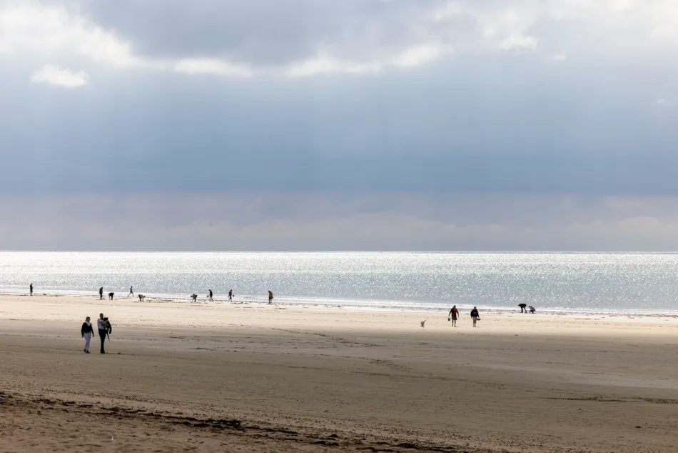 Flower Camping La Davière Plage