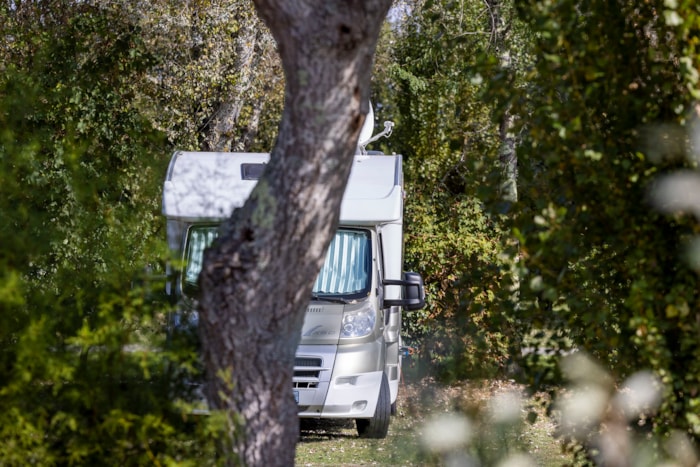 Forfait Confort : Emplacement  Pour Caravane, Camping-Car Ou Tente +1 Voiture + Electricité (10 A)