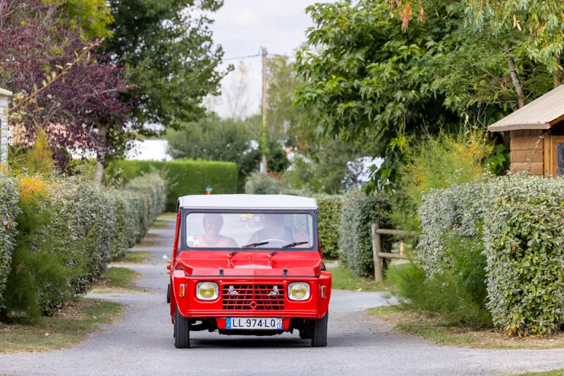 Forfait Confort : Emplacement  Pour Caravane, Camping-Car Ou Tente +1 Voiture + Electricité (10 A)