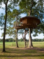 Dam'oiseauxtree House Dam'oiseauxtree House