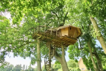Mietunterkunft - Baumhaus Oder Haus  Dam'oiseaux - Castel Camping Château de Lez-Eaux