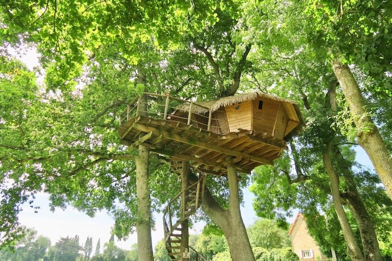 Cabane dans les arbres Dam'oiseaux