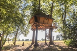 Accommodation - Butterfly Tree House - Castel Camping Château de Lez-Eaux