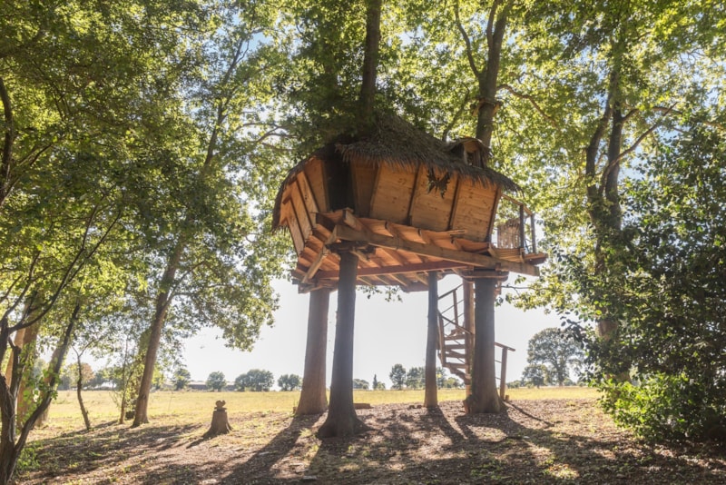 Cabane dans les arbres Butterfly