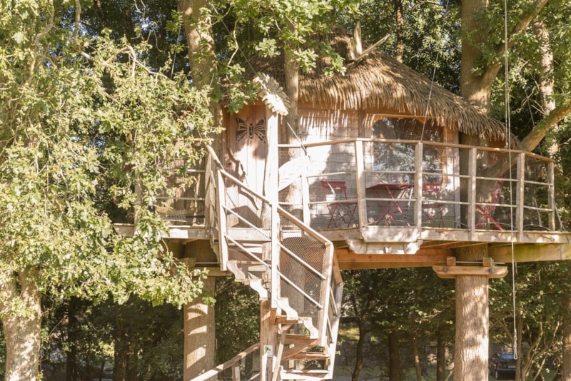 Baumhaus oder Haus  butterfly