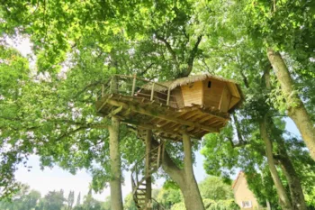 Mietunterkunft - Baumhaus Oder Haus  Dam'oiseaux - Castel Camping Château de Lez-Eaux