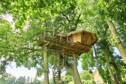 Cabaña En Los Árboles  Dam'oiseaux