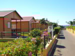 Bungalow Comfort Bungalow Comfort