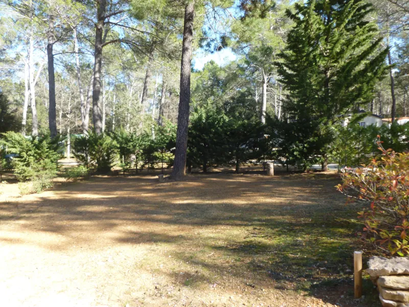 Forfait Confort (1 Tente, Caravane Ou Camping-Car / 1 Voiture / Électricité 10A)